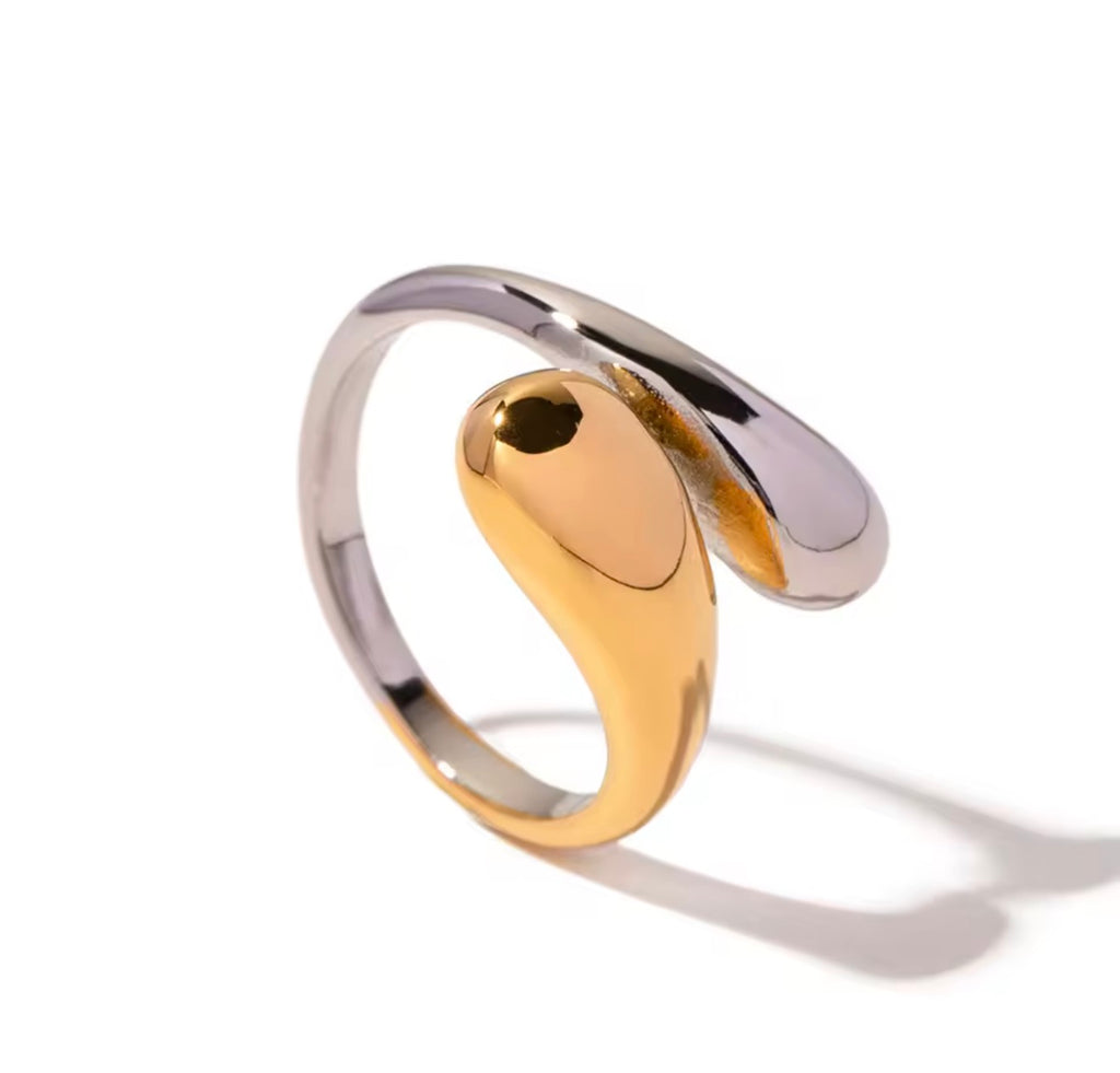 ANIB005 Anillo