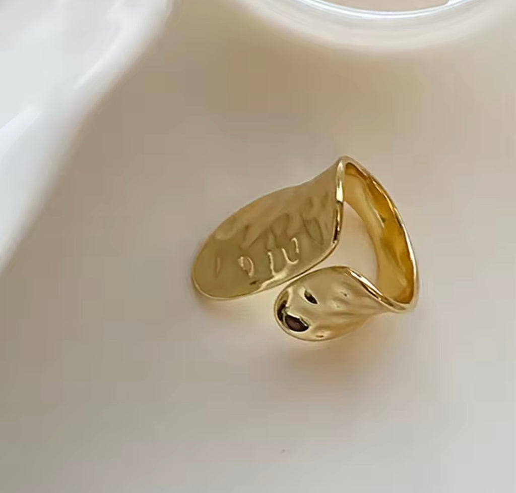 AIB009 Anillo