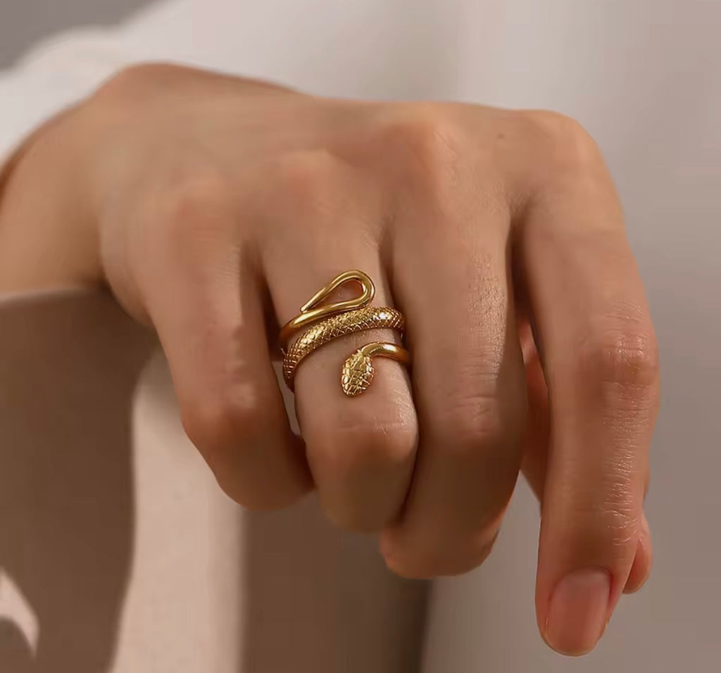 ANIB006 Anillo