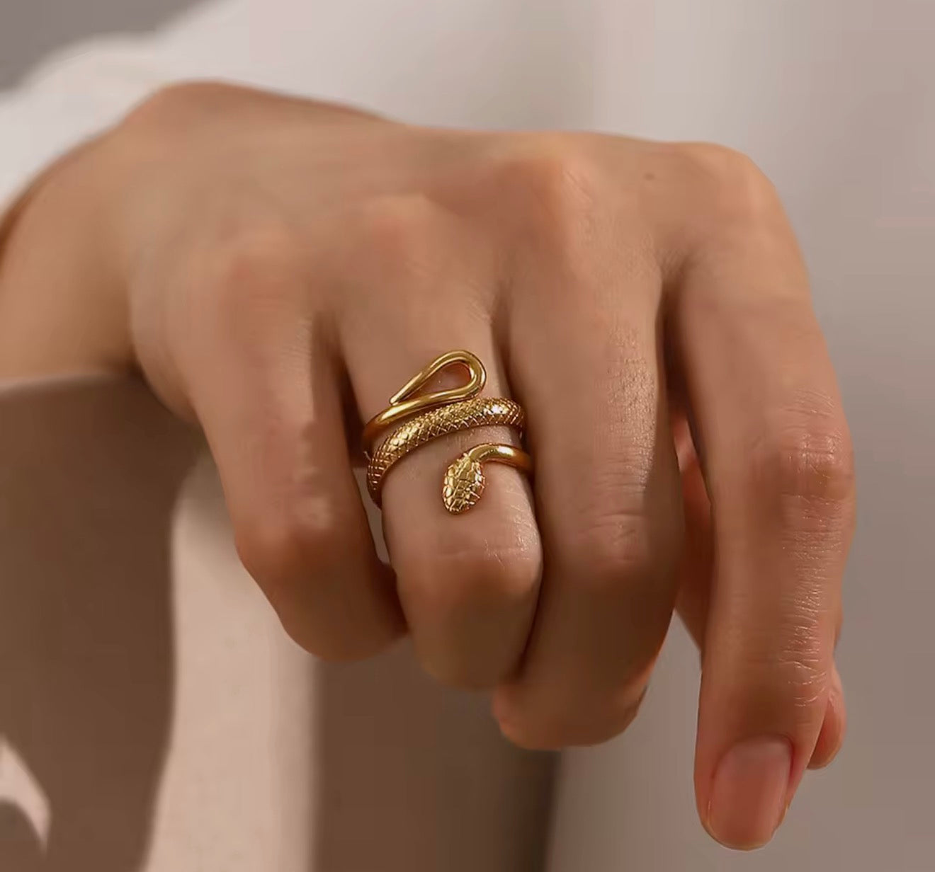 ANIB006 Anillo